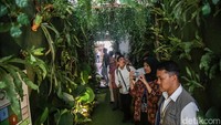 Sejumlah pegunjung menikmati pameran Ecophilia di Museum Bank Indonesia, Jakarta, Rabu (10/12/2025).