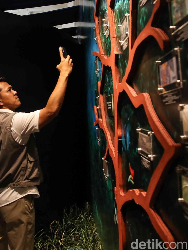 Ecophilia Dibuka di Museum BI, Tawarkan Edukasi Lingkungan Lewat Cerita Rupiah