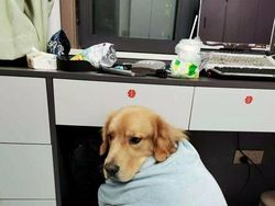 Hati-Hati! Foto-Foto Ini Kelihatan Normal, tapi Ternyata Menipu Mata