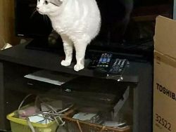 Hati-Hati! Foto-Foto Ini Kelihatan Normal, tapi Ternyata Menipu Mata