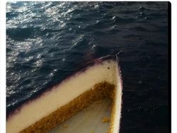 Hati-Hati! Foto-Foto Ini Kelihatan Normal, tapi Ternyata Menipu Mata