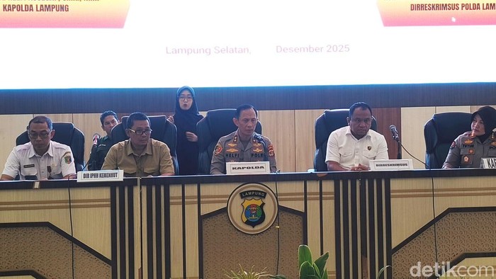 Polda Hentikan Penyelidikan Kayu Gelondongan di Pantai Lampung