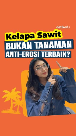 Video: Kelapa Sawit Bukan Tanaman Anti-Erosi Terbaik?