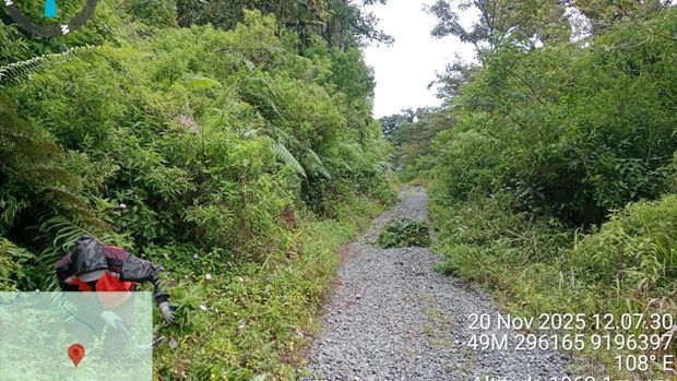Kondisi lereng gunung Slamet yang semula gundul kini sudah hijau. Foto diunggah Rabu (10/12/2025).