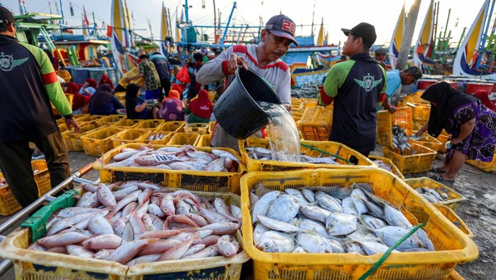 Sejumlah pekerja memindahkan ikan dari kapal menuju tempat pelelangan ikan di TPI Palang, Tuban, Jawa Timur, Rabu (10/12/2025). Pemda dan Penyelenggara Jaminan Sosial Ketenagakerjaan setempat menyepakati memberikan perlindungan lewat program jaminan sosial ketenagakerjaan kepada ribuan nelayan di kawasan itu guna mengurangi resiko kecelakaan kerja di laut. ANTARA FOTO/Muhammad Mada