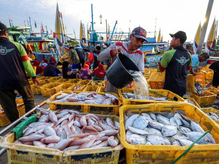 Nelayan Pantura Tuban Kini Terlindungi Program Jaminan Sosial Ketenagakerjaan