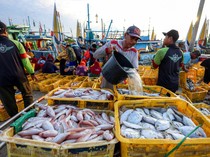 Nelayan Pantura Tuban Kini Terlindungi Program Jaminan Sosial Ketenagakerjaan