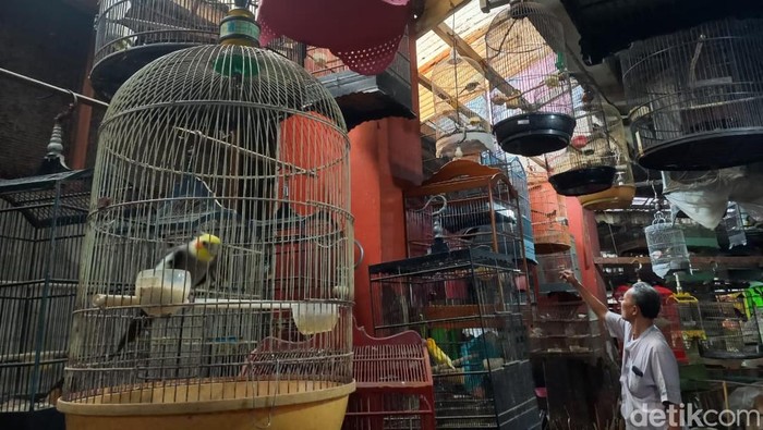 Pasar Burung Bratang: Dulu Jadi Terbesar, Kini Tinggal Segelintir Pedagang