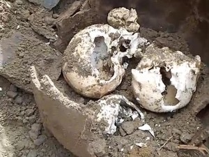 Geger! Warga Temukan 3 Tengkorak Manusia dalam Guci Terpendam di Bengkulu