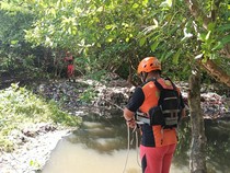 Lansia di Denpasar Hilang Berhari-hari, Diduga Masuk Hutan Mangrove