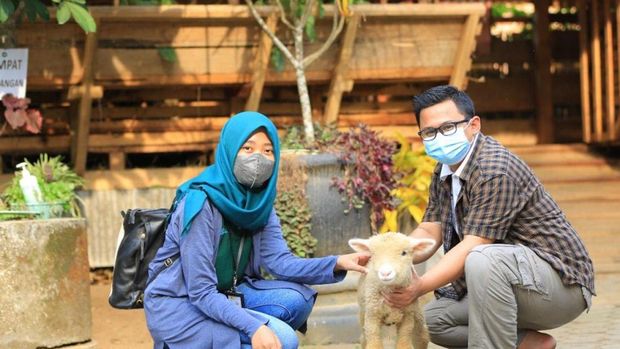 Atraksi di Desa Wisata Sidomulyo Atraksi di Desa Wisata Sidomulyo