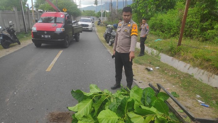 Pemotor Tewas Usai Tabrakan dengan Truk di Bone Bolango