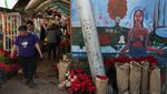 Bunga Poinsettia Bermekaran Semarakkan Natal di Meksiko
