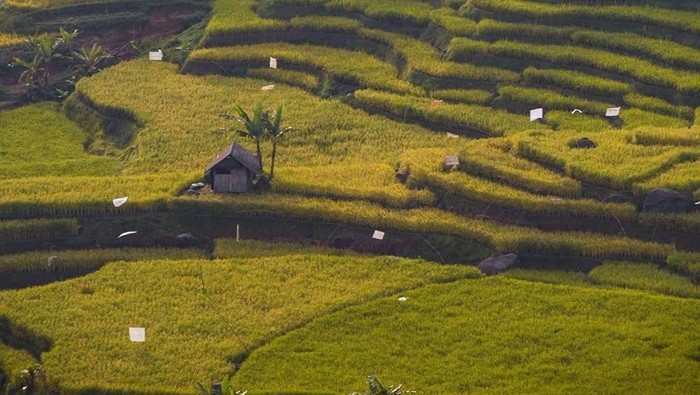 Famtrip Malasari 2025 Hadirkan Pesona Wisata Alam & Budaya Desa Malasari