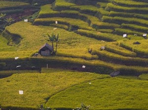 Famtrip Malasari 2025 Hadirkan Pesona Wisata Alam & Budaya Desa Malasari