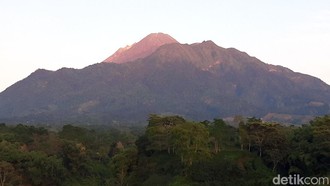 2 Pendaki Ilegal Hilang di Gunung Merapi, 1 Orang Ditemukan Lemas