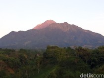 Sederet Sanksi 7 Pendaki Ilegal Gunung Merapi, Ada Blacklist 3 Tahun!