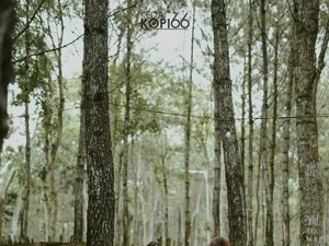 Kedai Kopi 66 Kediri, Ngopi di Tengah Hutan Pinus yang Sejuk dan Tenang