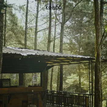 Kedai Kopi 66 Kedai Kopi 66