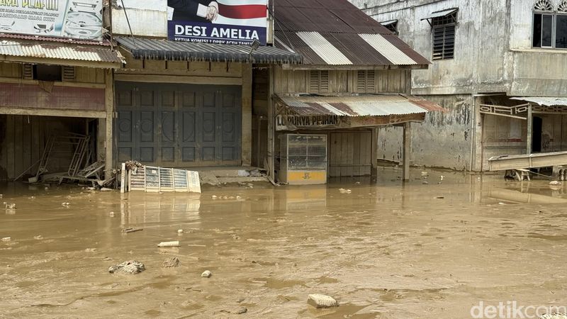 Kondisi Aceh Tamiang usai banjir surut Kondisi Aceh Tamiang usai banjir surut