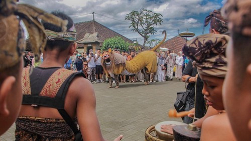 Pagelaran di Desa Wisata Penglipuran. (Dok Desa Wisata Penglipuran)