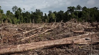 Heboh Ajakan Patungan Beli Hutan, DPR: Sindiran Tajam buat Pemerintah