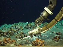 Temuan Ladang Hidrotermal di Perairan Tetangga RI, Ada Bebatuan Berkilau Emas