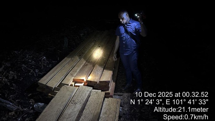 Pembalakan Liar di Bengkalis Dibongkar Polisi, 3 Orang Ditangkap