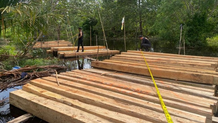 Polda Riau Sikat Pembalak Liar di Hutan Meranti, 8 Ton Kayu Disita