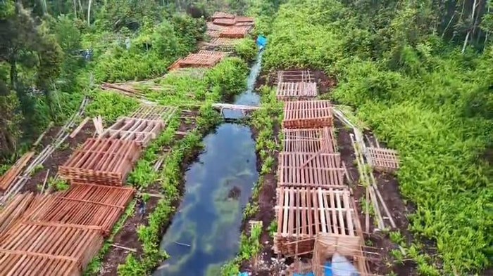 Potret Ratusan Kubik Kayu Illegal Logging di Inhu yang Dibongkar Polisi