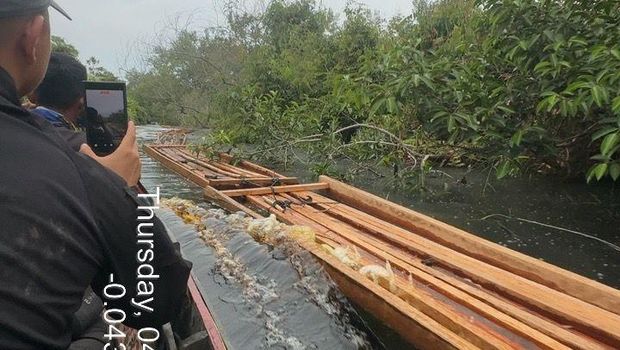Potret ratusan kubik kayu hasil illegal logging yang dibongkar polisi di Indragiri Hulu, Riau. Potret ratusan kubik kayu hasil illegal logging yang dibongkar polisi di Indragiri Hulu, Riau.