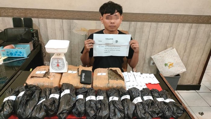 Remaja Pengedar 4,1 Kg Ganja di Jambi Ditangkap, Akui Sudah 6 Kali Jual