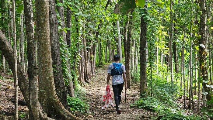 Trek Run to Geopark di Desa Gununggajah, Kecamatan Bayat, Klaten.