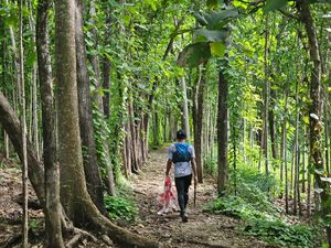 Run to Geopark Klaten Digelar Minggu, Tawarkan Trek Seru-Panorama Elok