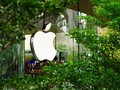 Bukan iPhone, Hutan Sumatera Kunci Apple Kejar Netral Karbon 2030