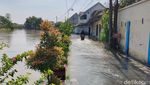 Banjir Masih Rendam Lima Kecamatan di Sidoarjo