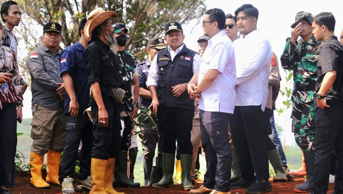 Upaya Sumedang Jaga Alam dengan Tanam Ribuan Pohon