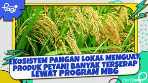 Video: Program MBG, Investasi Masa Depan di Sektor SDM