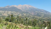 Pendaki Asal Bogor Meninggal di Basecamp Gunung Merbabu