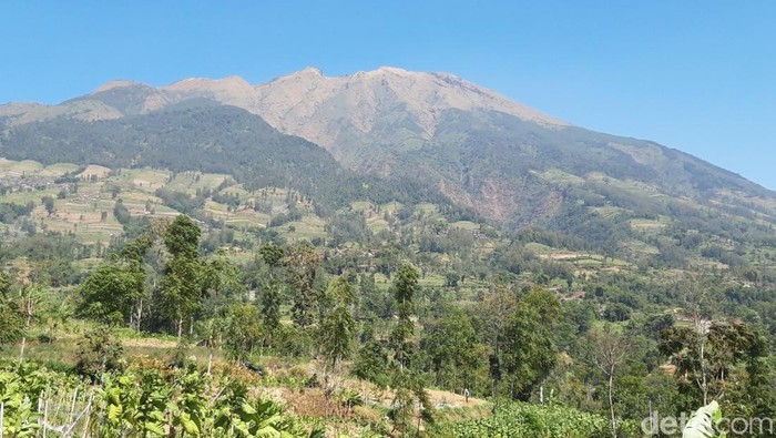 Jalur Thekelan Gunung Merbabu Kembali Dibuka, Kuota Dibatasi