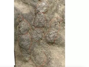 Video: Penampakan Ratusan Jejak Kaki Dinosaurus di Italia