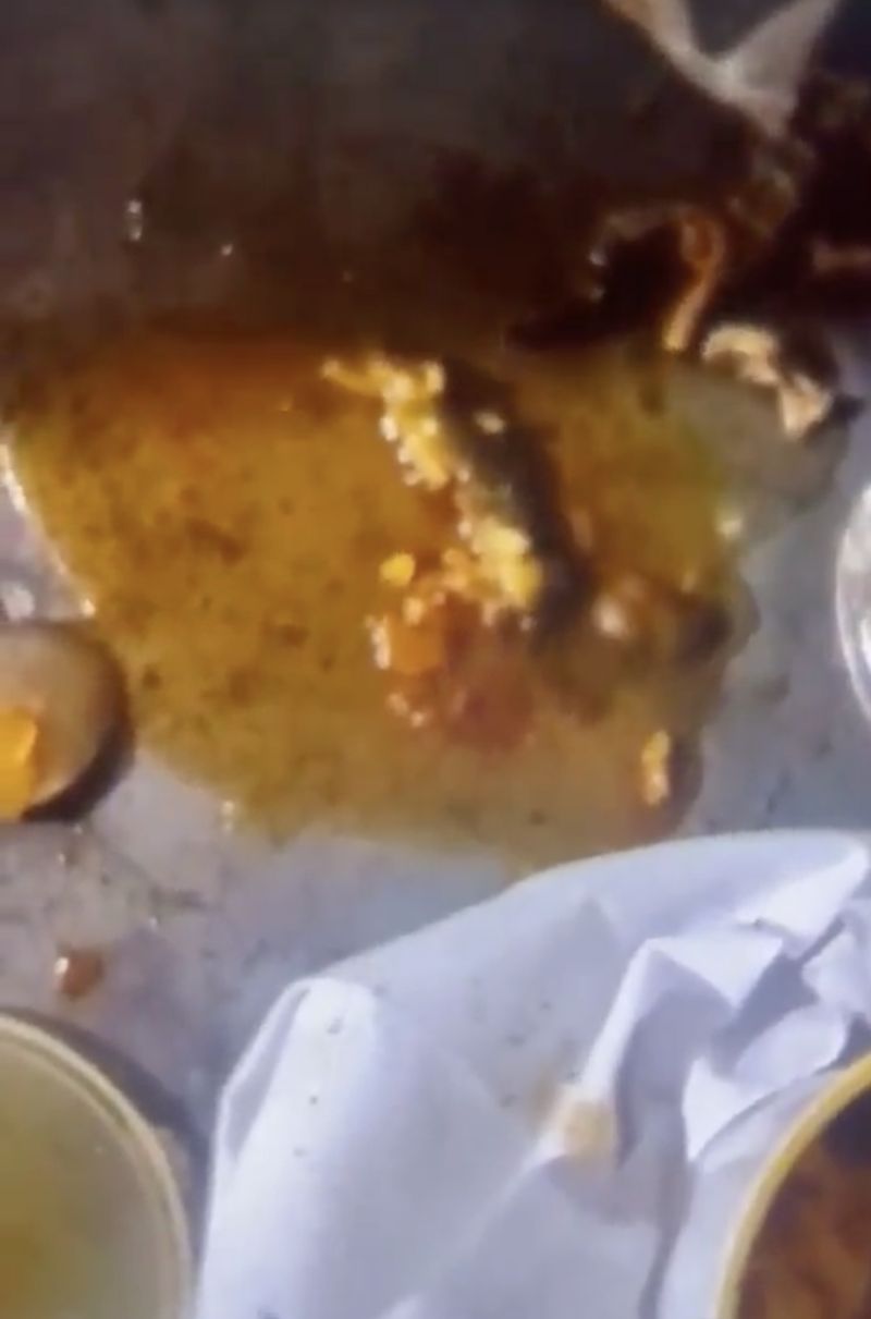 Kadal Mati Ikut Tersaji di Kari Ayam, Pelanggan Sampai Pingsan! Kadal Mati Ikut Tersaji di Kari Ayam, Pelanggan Sampai Pingsan!