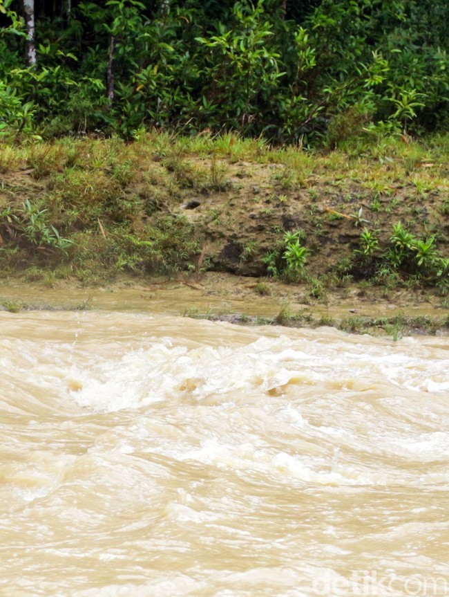 Langkah Tanpa Lelah Guru Armani, Menghidupkan Harapan di Pedalaman Pandeglang