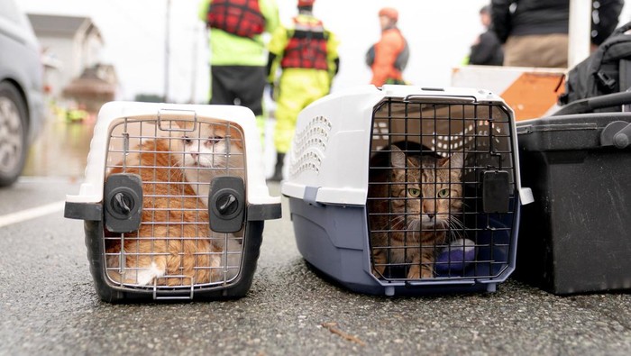 A drone view shows a kayaker paddling on floodwaters from the Snohomish River near a flooded barn, as an atmospheric river brings rain and flooding to the Pacific Northwest, in Snohomish, Washington, U.S., December 11, 2025. REUTERS/David Ryder TPX IMAGES OF THE DAY
