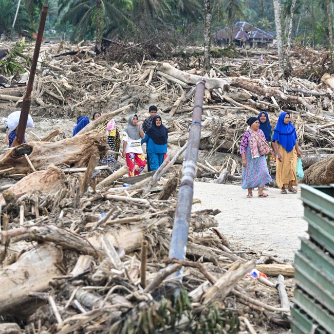 Kayu Gelondongan Hambat Evakuasi di Tapteng, Begini Penampakannya