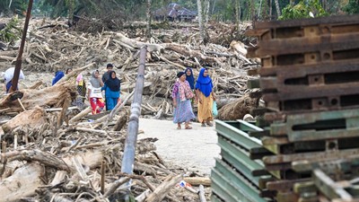 Kayu Gelondongan Hambat Evakuasi di Tapteng, Begini Penampakannya