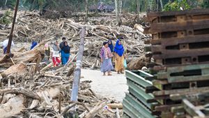 Kayu Gelondongan Hambat Evakuasi di Tapteng, Begini Penampakannya