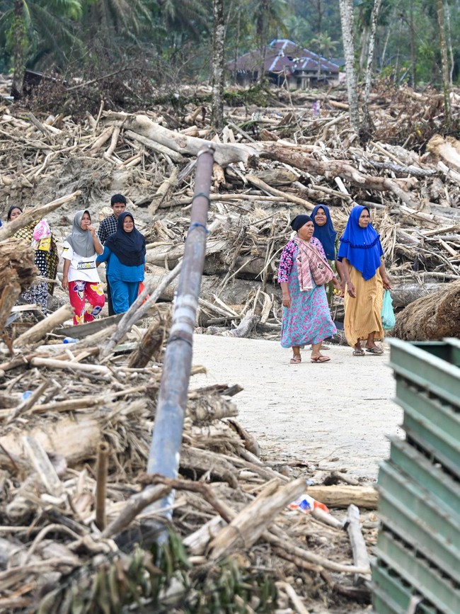 Kayu Gelondongan Hambat Evakuasi di Tapteng, Begini Penampakannya