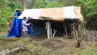 Tenda darurat berdiri di kawasan hutan sebagai tempat pengungsian warga yang kehilangan rumah akibat banjir. Ratusan keluarga kini bertahan di area tersebut sambil menunggu pemulihan pascabencana, di Desa Kuta Teugoh, Beutong Ateuh Banggalang, Nagan Raya, Aceh, Kamis (11/12/2025). ANTARA FOTO/Syifa Yulinnas