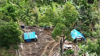 Foto udara dengan deretan tenda sederhana yang berjajar di area hutan Desa Kuta Teugoh. Pemandangan tersebut memperlihatkan bagaimana warga berupaya bertahan di tempat pengungsian setelah bencana menerjang. ANTARA FOTO/Syifa Yulinnas
